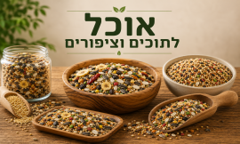 אוכל לתוכים וציפורים