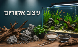 עיצוב אקווריום