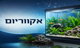 אקווריום