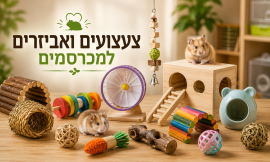 צעצועים ואביזרים למכרסמים
