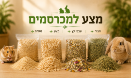 מצע למכרסמים