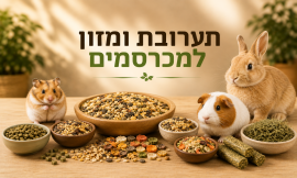 תערובת ומזון למכרסמים