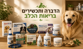 הדברה ותכשירים / בריאות הכלב
