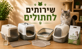 שירותים לחתולים