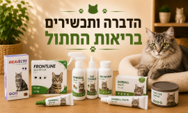 הדברה ותכשירים / בריאות החתול