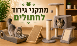 מתקני גירוד לחתולים
