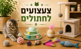 צעצועים לחתולים