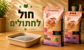 חול לחתולים