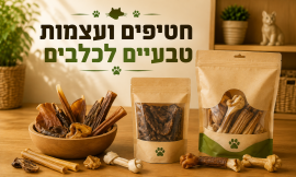חטיפים ועצמות טבעיים לכלבים