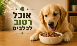 אוכל רטוב לכלבים 