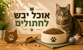 אוכל יבש לחתולים
