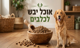 אוכל יבש לכלבים