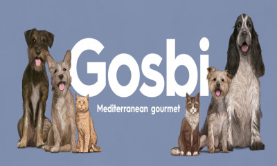 Gosbi