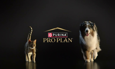 PURINA PRO PLAN