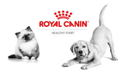 Royal Canin