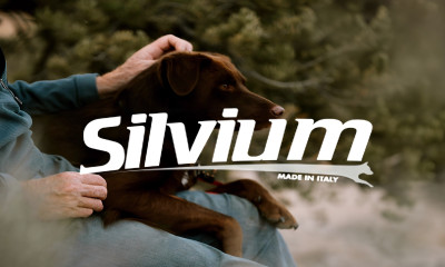 Silvium