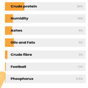 סילוים בוגר כבש לכלב בוגר גזע גדול 20 ק"ג