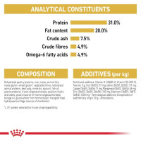 רויאל קנין קיין מון חתול בוגר 10 ק