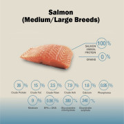 ברייברי – סלמון לכלב בינוני/גדול בוגר 12 ק״ג