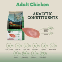 ברייברי – עוף לחתול בוגר 7 ק״ג